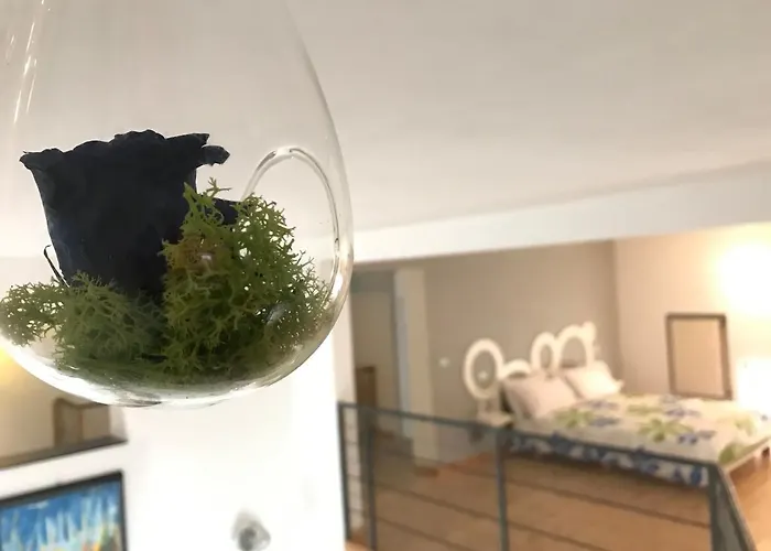 Loft 51 Appartamento